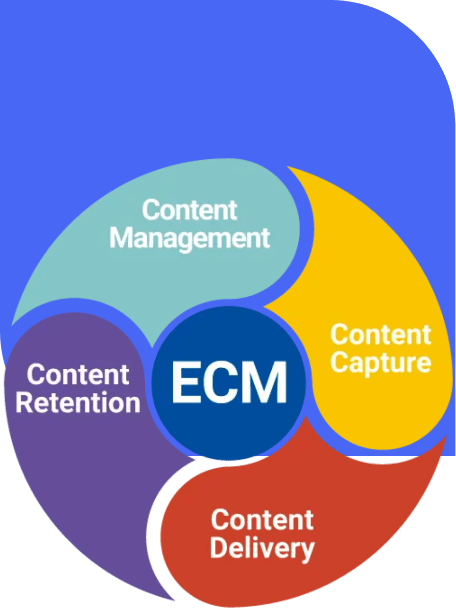 Visual da solução ECM
