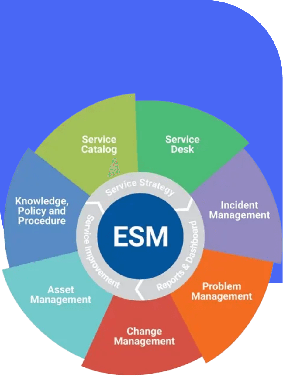 Visual da solução ESM